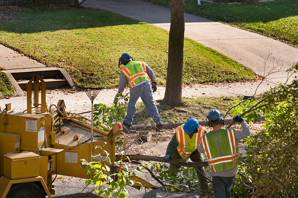 Best Pest Control for Lawns  in Dewey, OK